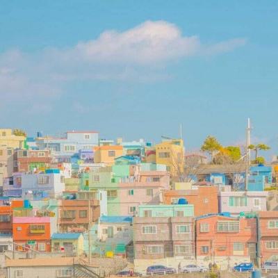 半岛登录平台网址